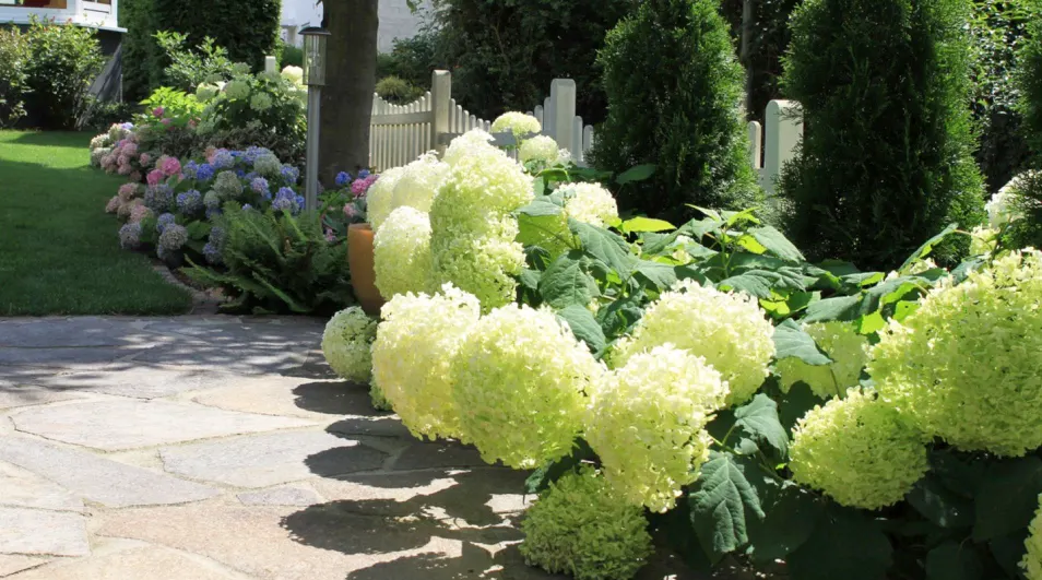 Gartengestaltung Neu-Isenburg